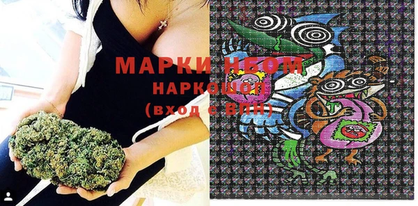PSILOCYBIN Баксан