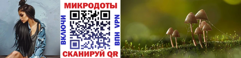 Галлюциногенные грибы Psilocybine cubensis  наркота  Инза 